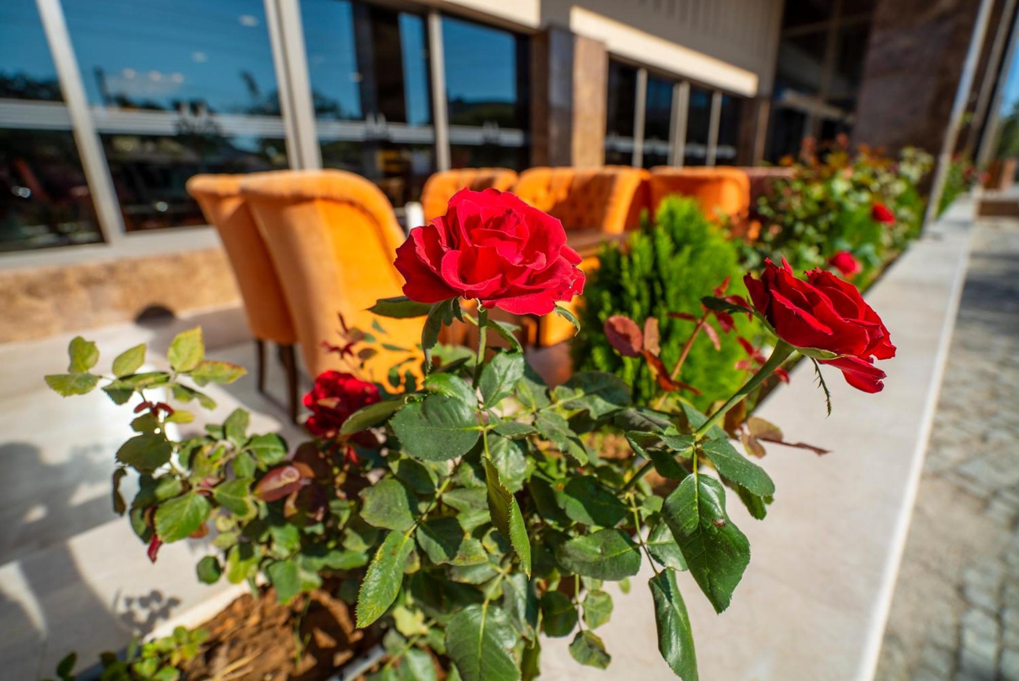 New Karaman Hotel Экстерьер фото